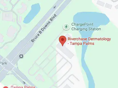 Map showing the location of Tampa Palms