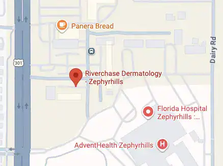 Map showing the location of Zephyrhills