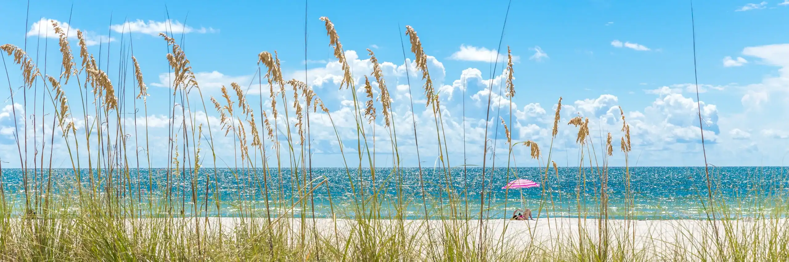 Sea oats line the beach with a a pink umbrella in the distance