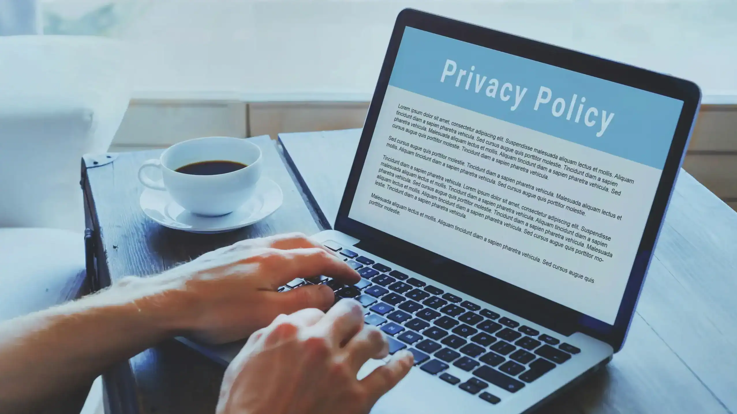 person reading privacy on computer