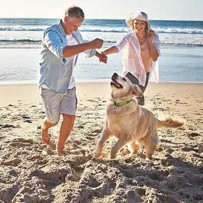 middle-aged couple playing on the beach with their dog
